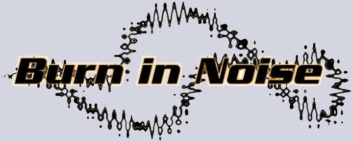Burn in Noise Logo