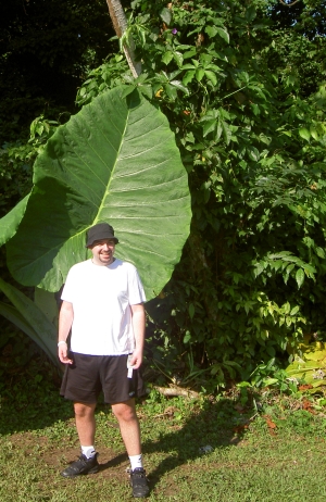 Jannis at nature