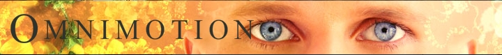 Omnimotion - Dream Wide Awake E-Flyer