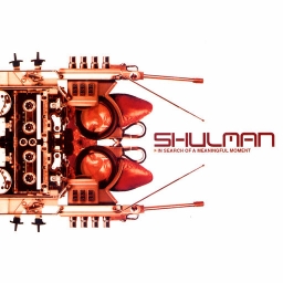 Shulman - In Search for a Meaningful Moment